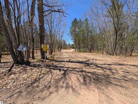 Tiny photo for 1515 NE W Bear Lake Road, Kalkaska, MI 49646 (MLS # 1945294)