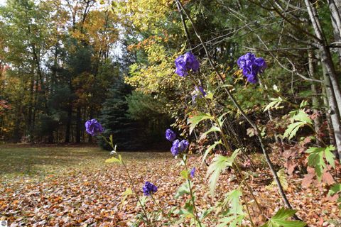 Tiny photo for 3300 E Arnold Lake Road, Harrison, MI 48625 (MLS # 1947481)