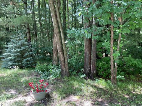 Tiny photo for 3300 E Arnold Lake Road, Harrison, MI 48625 (MLS # 1947481)