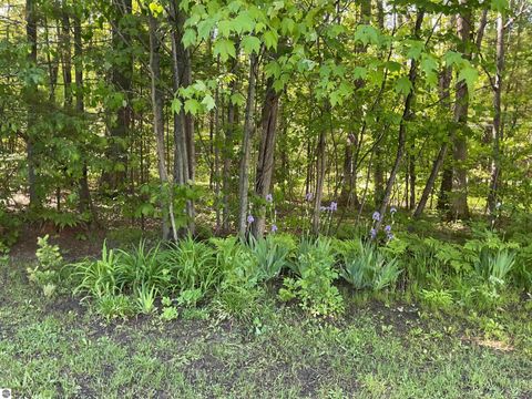 Tiny photo for 3300 E Arnold Lake Road, Harrison, MI 48625 (MLS # 1947481)
