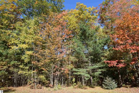 Tiny photo for 3300 E Arnold Lake Road, Harrison, MI 48625 (MLS # 1947481)