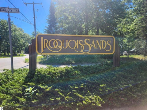 Tiny photo for 1660 Iroquois Trail, National City, MI 48748 (MLS # 1947123)