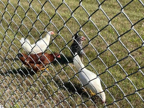 Tiny photo for 2492 E Fir Road, Harrison, MI 48625 (MLS # 1937849)