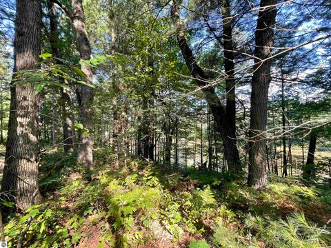 Tiny photo for 2492 E Fir Road, Harrison, MI 48625 (MLS # 1937849)