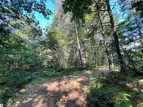 Tiny photo for 2492 E Fir Road, Harrison, MI 48625 (MLS # 1937849)