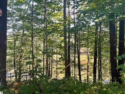 Tiny photo for 2492 E Fir Road, Harrison, MI 48625 (MLS # 1937849)