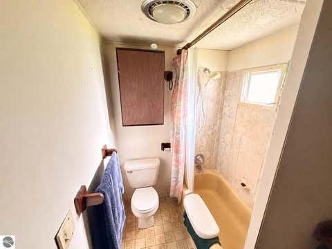 Tiny photo for 311 N 5th Street, Shepherd, MI 48883 (MLS # 1949374)
