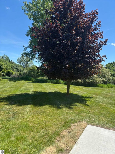 Tiny photo for 3092 E Deerfield RD, Mt Pleasant, MI 48858 (MLS # 1946177)