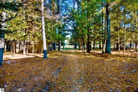 Tiny photo for 13887 Torch River Road, Rapid City, MI 49676 (MLS # 1952096)