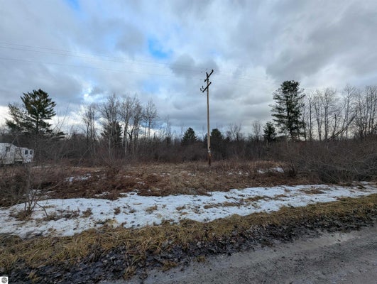 NORTH RD, TWINING, MI 48766 - Image 332bdfcac646dc4245c4782abc1b2fa2/1033362620