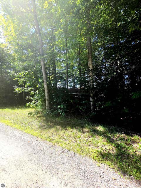 Tiny photo for 457 NE Lake Drive, Kalkaska, MI 49646 (MLS # 1949571)