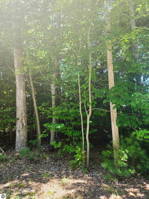 Tiny photo for 457 NE Lake Drive, Kalkaska, MI 49646 (MLS # 1949571)