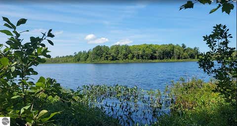 Photo of 457 NE Lake Drive, Kalkaska, MI 49646 (MLS # 1949571)