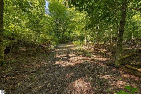 Tiny photo for 8280 S Vineyard Drive, Cedar, MI 49621 (MLS # 1951342)