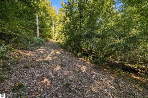 Tiny photo for 8280 S Vineyard Drive, Cedar, MI 49621 (MLS # 1951342)