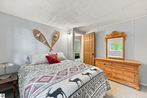Tiny photo for 8280 S Vineyard Drive, Cedar, MI 49621 (MLS # 1951342)