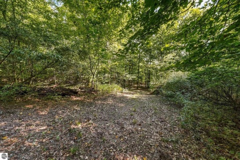 Tiny photo for 8280 S Vineyard Drive, Cedar, MI 49621 (MLS # 1951342)
