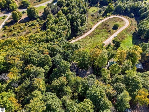 Tiny photo for 8280 S Vineyard Drive, Cedar, MI 49621 (MLS # 1951342)
