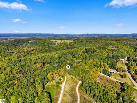Tiny photo for 8280 S Vineyard Drive, Cedar, MI 49621 (MLS # 1951342)