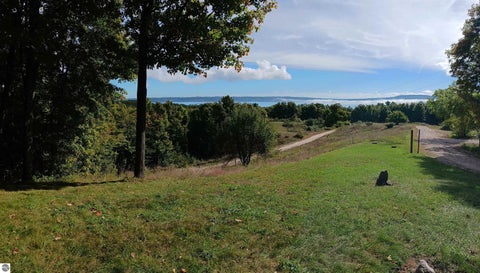 Tiny photo for 8280 S Vineyard Drive, Cedar, MI 49621 (MLS # 1951342)