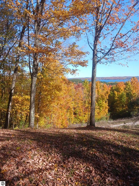 Tiny photo for 8280 S Vineyard Drive, Cedar, MI 49621 (MLS # 1951342)
