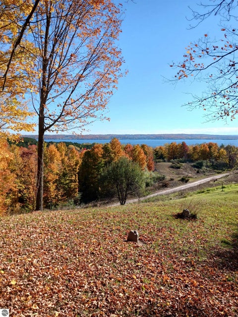 Tiny photo for 8280 S Vineyard Drive, Cedar, MI 49621 (MLS # 1951342)