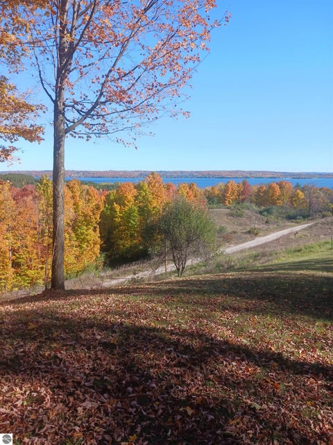 Tiny photo for 8280 S Vineyard Drive, Cedar, MI 49621 (MLS # 1951342)