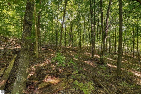 Tiny photo for 8280 S Vineyard Drive, Cedar, MI 49621 (MLS # 1951342)