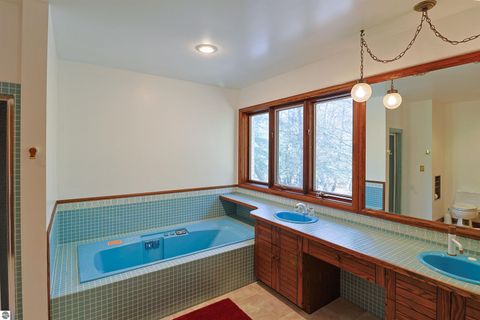 Tiny photo for 555 E Deerfield Road, Mt Pleasant, MI 48858 (MLS # 1943778)