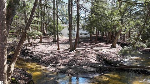 Tiny photo for 555 E Deerfield Road, Mt Pleasant, MI 48858 (MLS # 1943778)