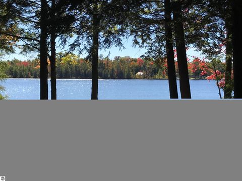 Tiny photo for 1158 East Lake Drive, Kalkaska, MI 49646 (MLS # 1945374)