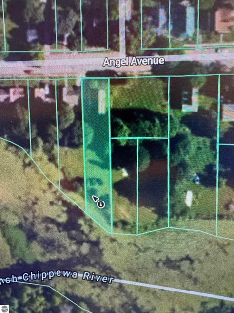 Tiny photo for 198 E Angel Avenue, Barryton, MI 49305 (MLS # 1948296)
