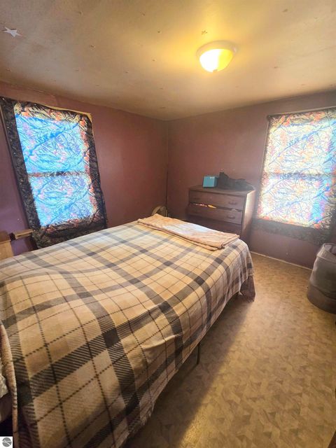 Tiny photo for 716 E Newark Street, Ithaca, MI 48847 (MLS # 1942277)