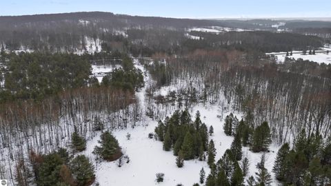 Tiny photo for 6565 N 31 Road, Manton, MI 49663 (MLS # 1942418)