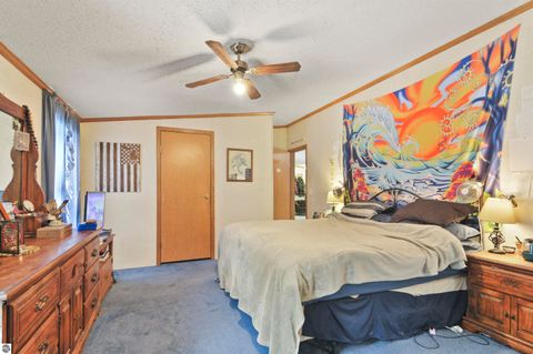 Tiny photo for 6565 N 31 Road, Manton, MI 49663 (MLS # 1942418)