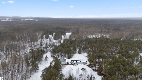 Tiny photo for 6565 N 31 Road, Manton, MI 49663 (MLS # 1942418)