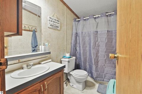 Tiny photo for 6565 N 31 Road, Manton, MI 49663 (MLS # 1942418)