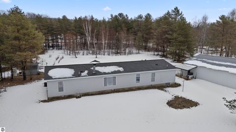 Tiny photo for 6565 N 31 Road, Manton, MI 49663 (MLS # 1942418)