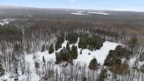Tiny photo for 6565 N 31 Road, Manton, MI 49663 (MLS # 1942418)