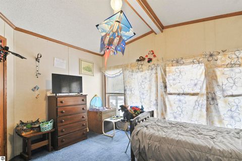 Tiny photo for 6565 N 31 Road, Manton, MI 49663 (MLS # 1942418)