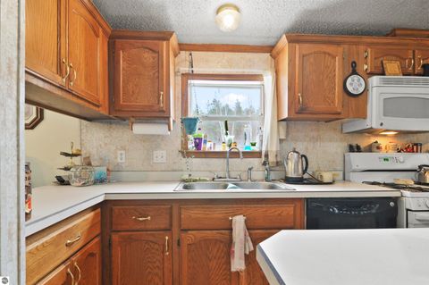 Tiny photo for 6565 N 31 Road, Manton, MI 49663 (MLS # 1942418)