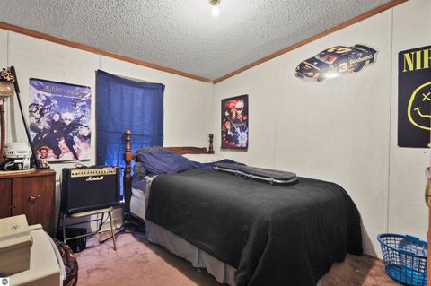 Tiny photo for 6565 N 31 Road, Manton, MI 49663 (MLS # 1942418)