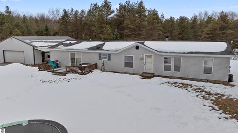 Tiny photo for 6565 N 31 Road, Manton, MI 49663 (MLS # 1942418)