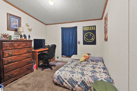 Tiny photo for 6565 N 31 Road, Manton, MI 49663 (MLS # 1942418)