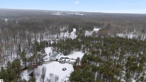 Tiny photo for 6565 N 31 Road, Manton, MI 49663 (MLS # 1942418)