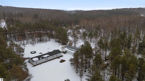 Tiny photo for 6565 N 31 Road, Manton, MI 49663 (MLS # 1942418)