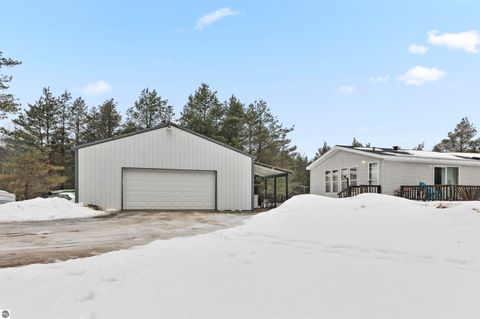 Tiny photo for 6565 N 31 Road, Manton, MI 49663 (MLS # 1942418)