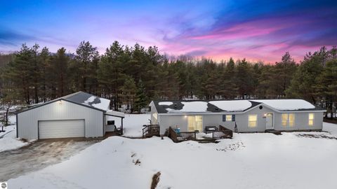 Tiny photo for 6565 N 31 Road, Manton, MI 49663 (MLS # 1942418)