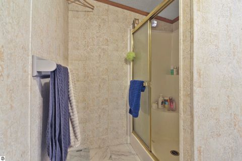 Tiny photo for 6565 N 31 Road, Manton, MI 49663 (MLS # 1942418)