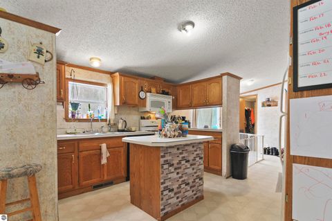 Tiny photo for 6565 N 31 Road, Manton, MI 49663 (MLS # 1942418)